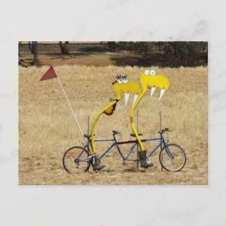 Cartão Postal Cobras Tandem