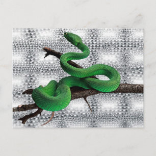 Cartão Postal Cobras VERDE