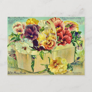 Cartão Postal Cobrir de Pacote de Semente Vintage com Flores de 