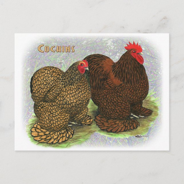 Cartão Postal Cochim: Ouro lacado2 (Frente)