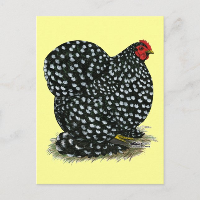 Cartão Postal Cochin Mottled Hen (Frente)
