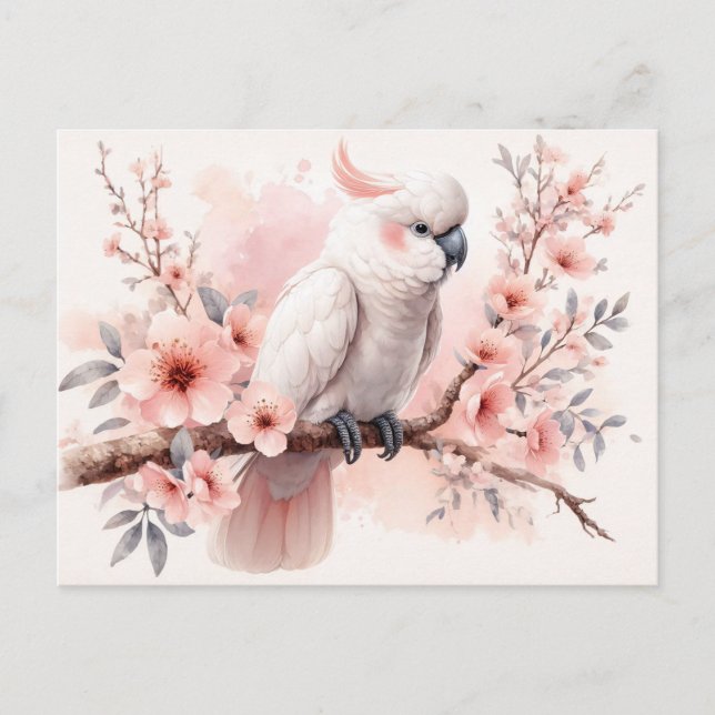 Cartão Postal Cockatoa de aquarela e flores rosa (Frente)