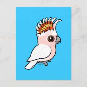 Cartão Postal Cockatoa Rosa Birdormente