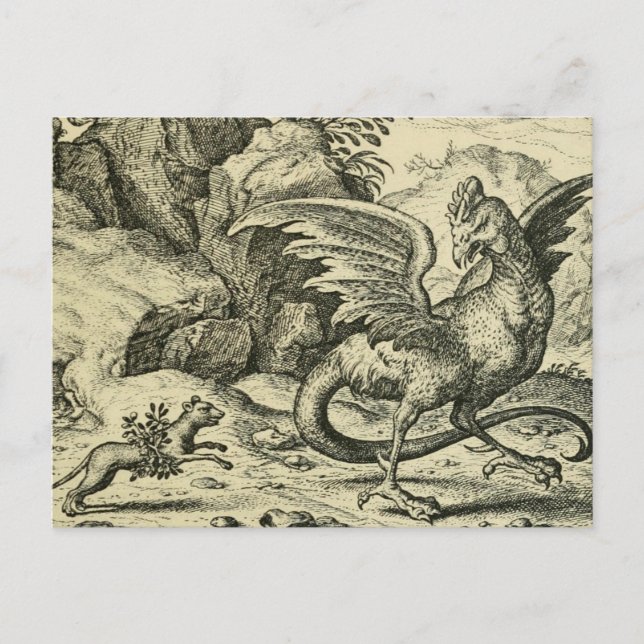 Cartão Postal "Cockatrice vs. Doninha"  (Frente)