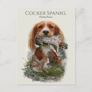 Cartão Postal Cocker Spaniel com Cinza