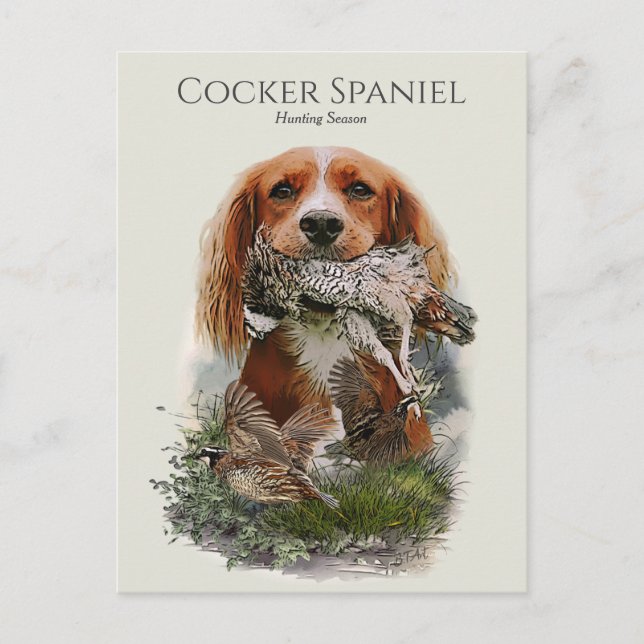 Cartão Postal Cocker Spaniel com Cinza (Frente)