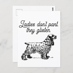 Cartão Postal Cocker Spaniel Ladies Ghear Piada Engraçada