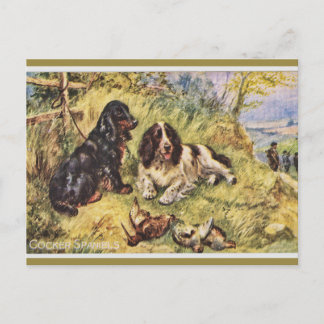Cartão Postal Cocker Spaniels