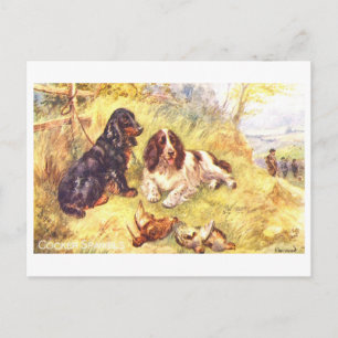 Cartão Postal Cocker Spaniels Antigos
