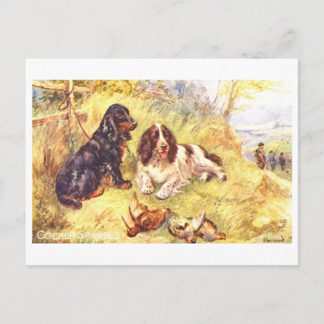 Cartão Postal Cocker Spaniels Antigos (Frente)
