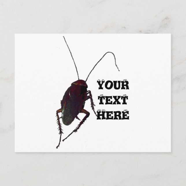 Cartão Postal Cockroach (Frente)