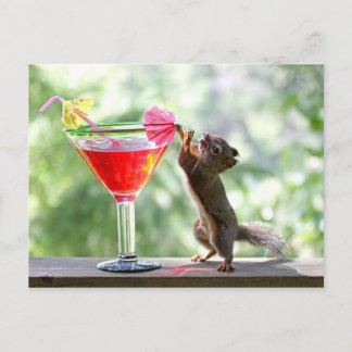 Cartão Postal Cocktail do bebendo do esquilo