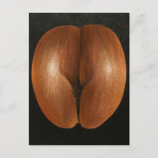 Cartão Postal Coco de Mer 2010 (Frente)