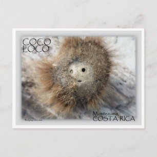 CARTÃO POSTAL COCO LOCO NUT