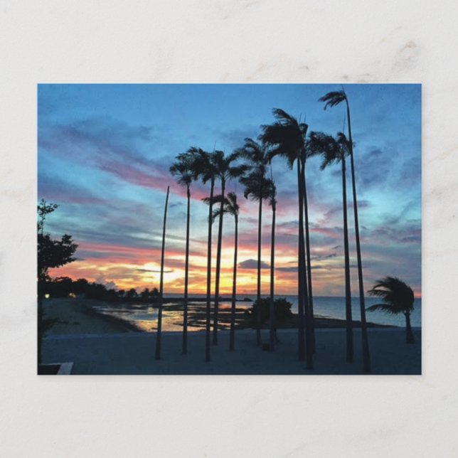 Cartão Postal Coco na praia (Frente)