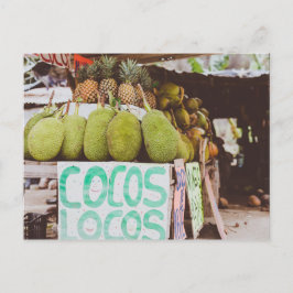 Cartão Postal Cocos Locos