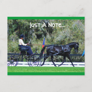 Cartão Postal código de carvalho vivo