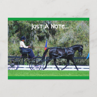 Cartão Postal código de carvalho vivo