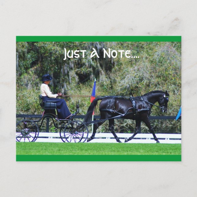 Cartão Postal código de carvalho vivo (Frente)