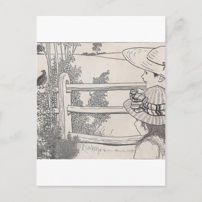 Cartão Postal Codorna na plataforma (Frente)