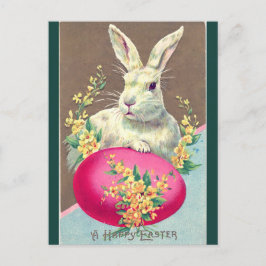 Cartão Postal Coelhinho Branco Da Páscoa Vintage Com Ovo Rosa Br