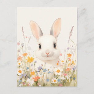 Cartão Postal Coelhinho Branco Doce no Prado de Primavera