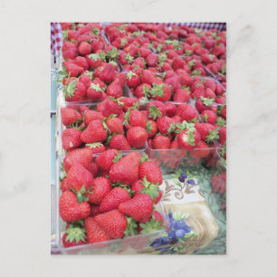Cartão Postal Coelhinho de Morango