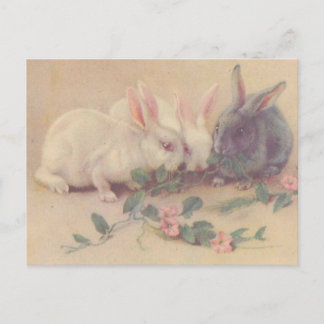Cartão Postal Coelhinhos da Vintage