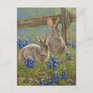 Cartão Postal Coelhinhos e Bluebonnets