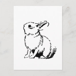 Cartão Postal coelho