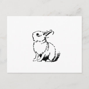 Cartão Postal coelho