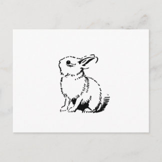 Cartão Postal coelho