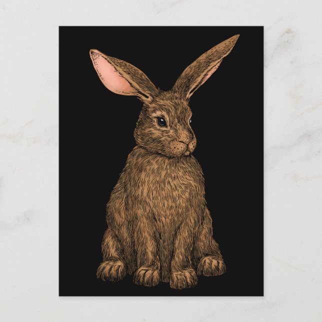 Cartão Postal Coelho 3 (Frente)