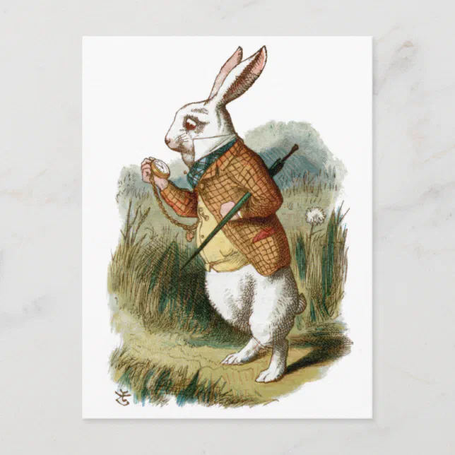 Desenho Coelho Branco Alice No Pais Das Maravilhas Coelho Branco Alice