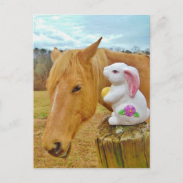 Cartão Postal Coelho branco e cavalo amarelo loiro