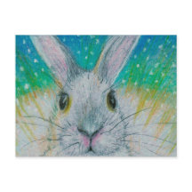 Coelho branco na neve!