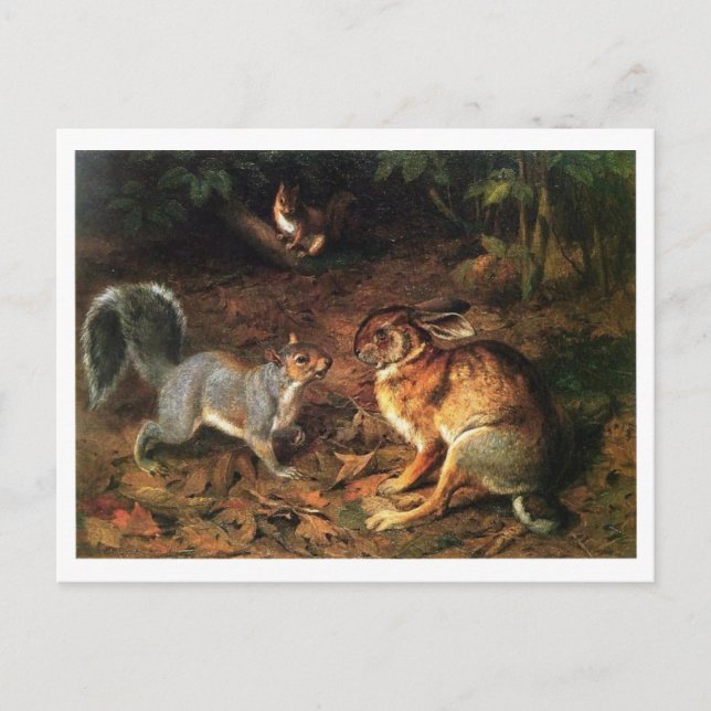 Cartão Postal Coelho Conhece Esquilo (Frente)