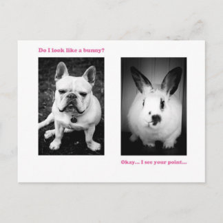 Cartão Postal Coelho e buldogue francês