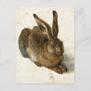 Cartão Postal Coelho, Lebre por Durer Arte da Natureza Vintage,