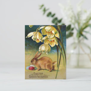 Cartão Postal Coelho, Ovos e Flor de Neve, vintage 1910