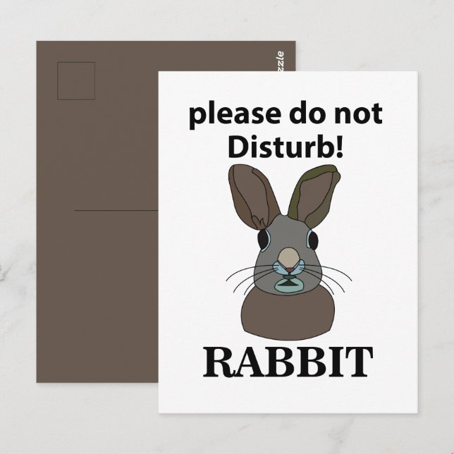 Cartão Postal Coelho Por Favor Não Incomodar Coelho Engraçado (Frente/Verso)