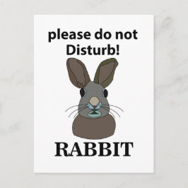 Cartão Postal Coelho Por Favor Não Incomodar Coelho Engraçado
