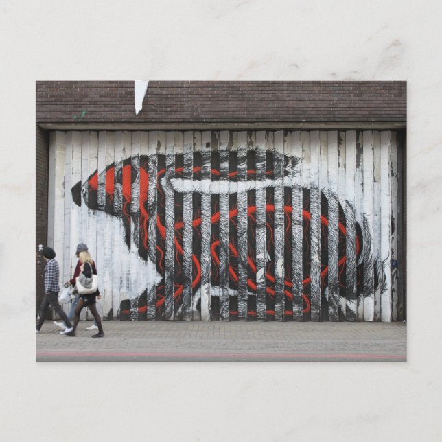 Cartão Postal Coelho Urbano (Frente)