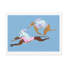Coelhos montando Galgos