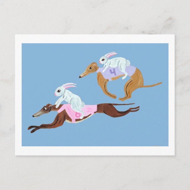 Cartão Postal Coelhos montando Galgos (Frente)