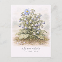 Cartão Postal Cogitata infinita - O Pensador Interminável Botâni