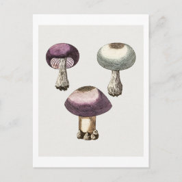 Cartão Postal Cogumelo de teia violeta desenhado à mão.