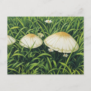 Cartão Postal Cogumelos bonito