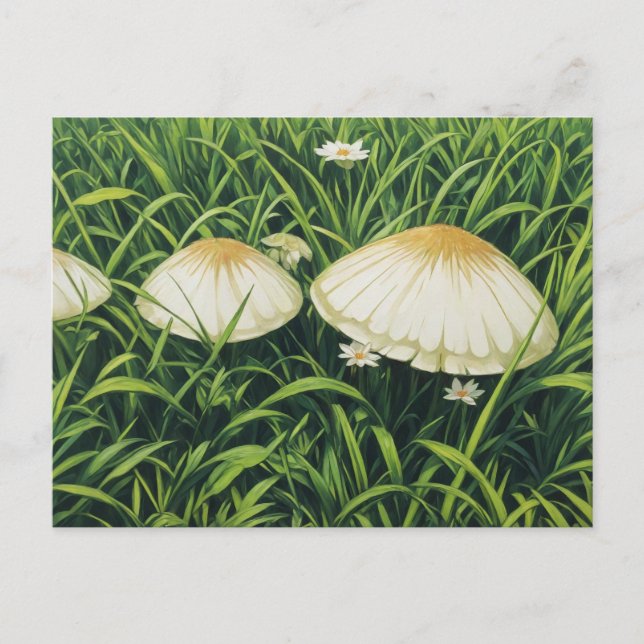 Cartão Postal Cogumelos bonito (Frente)