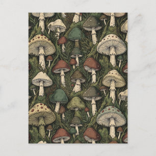 Cartão Postal Cogumelos Florestais Vintage Cottagecore Mal-humor